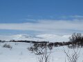 Img_0236