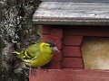 Img_0543