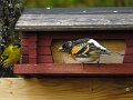 Img_0552