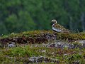 Img_1132