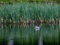 Img_1179