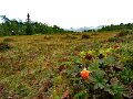 Img_1356