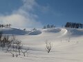 Img_2302
