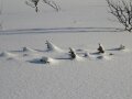 Img_2308