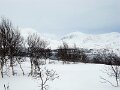 Img_3053