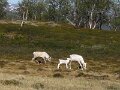 Img_3085