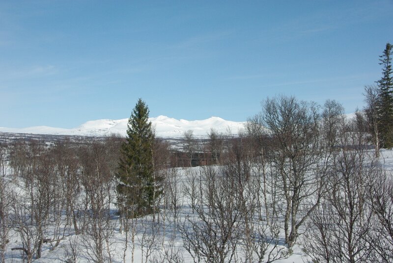 Imgp7275.jpg