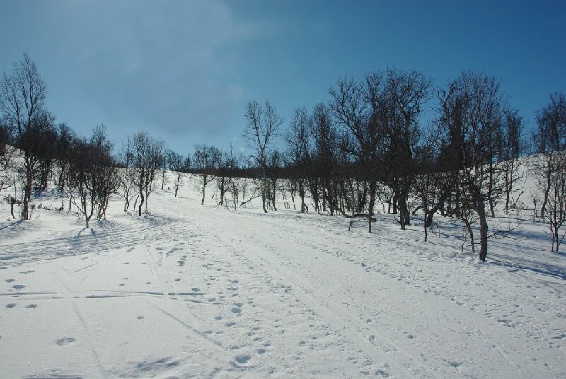 Imgp7312.jpg