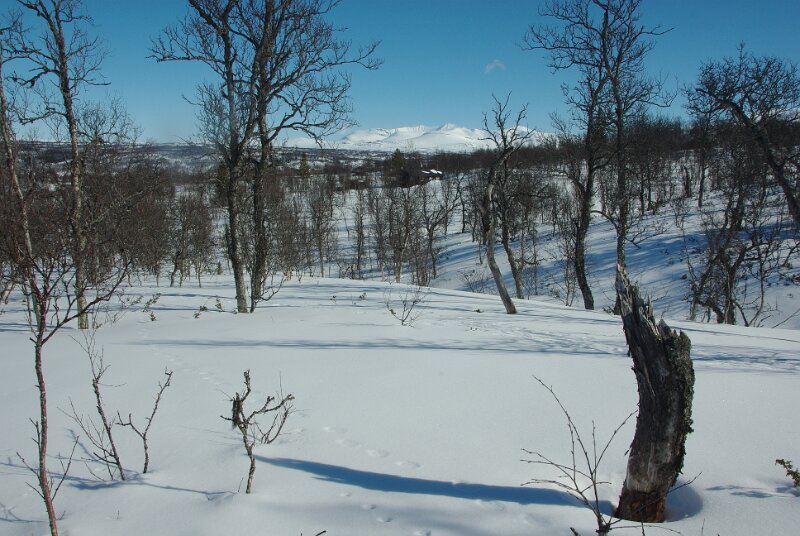 Imgp7316.jpg