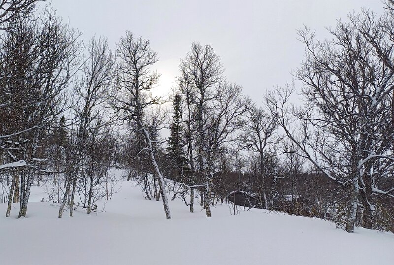 20240220_121341.jpg