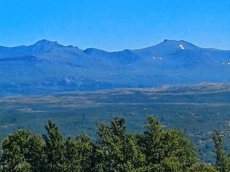 20240713_121208.jpg