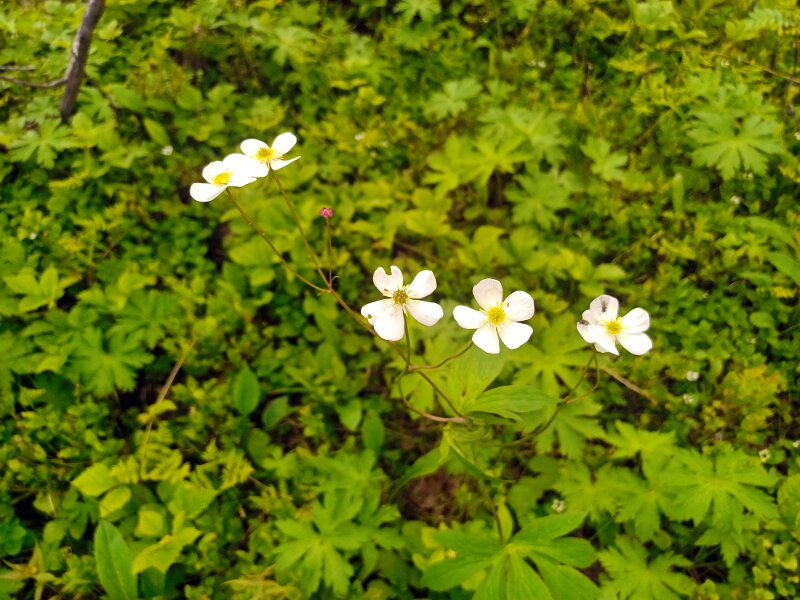 20250702_134410 - copy.jpg