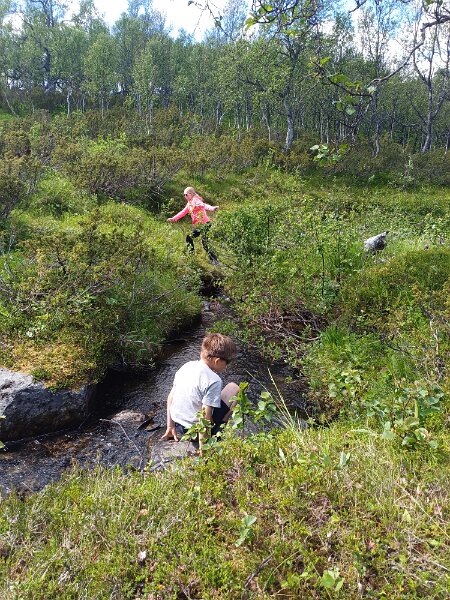 20250709_131741 - copy.jpg