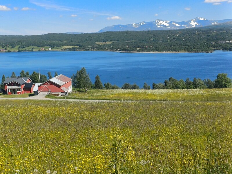 20250712_123557 - copy.jpg