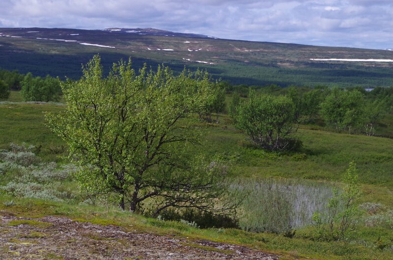 Imgp8059 - copy.jpg