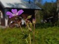 20250709_174705 - copy