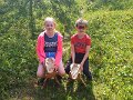 20250710_121718 - copy