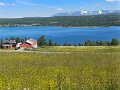 20250712_123557 - copy