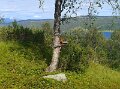 20250809_120641 - copy